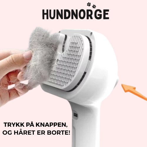 Spraybørsten – Gjør pelsstellet raskt og enkelt!